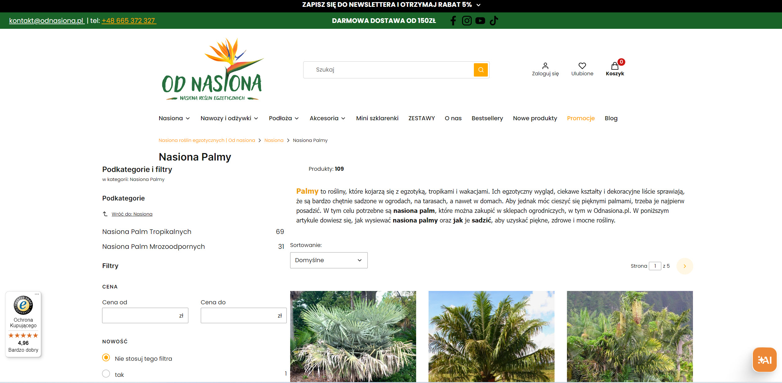 Palmy z nasion - jak stworzyć egzotyczny klimat w domu lub ogrodzie?