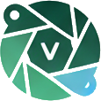 VueBiznes